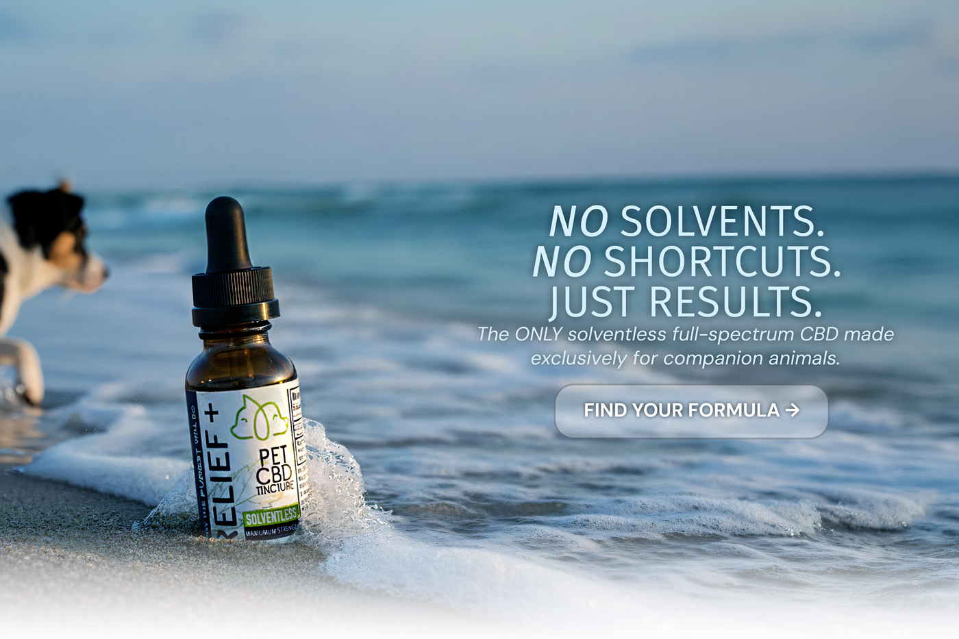 Solventless CBD oil for dogs — VetsGrade pure full-spectrum hemp pet wellness