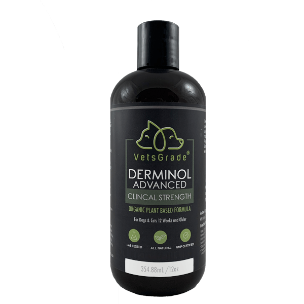 derminol advanced solventless pet shampoo for dogs and cats organic antifungal plant-based cleanser 12oz bottle front for dogs and cats