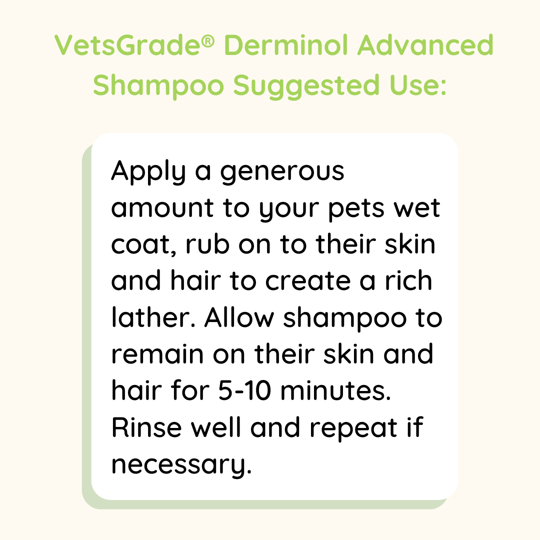 vetsgrade derminol advanced shampoo suggested use instructions for dogs and cats