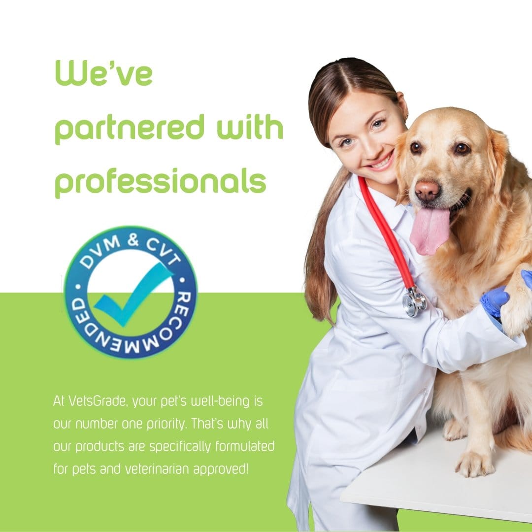 vetsgrade relief plus veterinarian approved solventless pet tincture with vet and golden retriever image