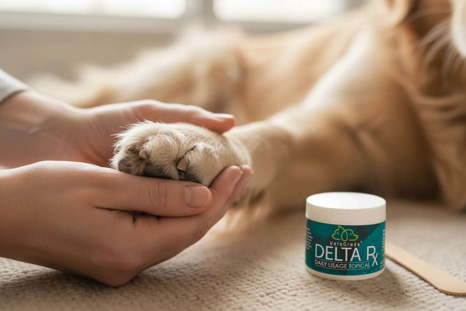 Healthy dog paws with CBD treatment - VetsGrade relief for excessive paw licking