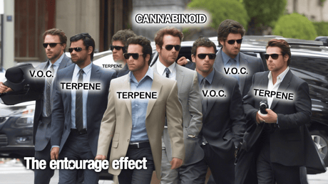 The Entourage Effect: Why Full-Spectrum CBD Works Better for Dogs and Cats