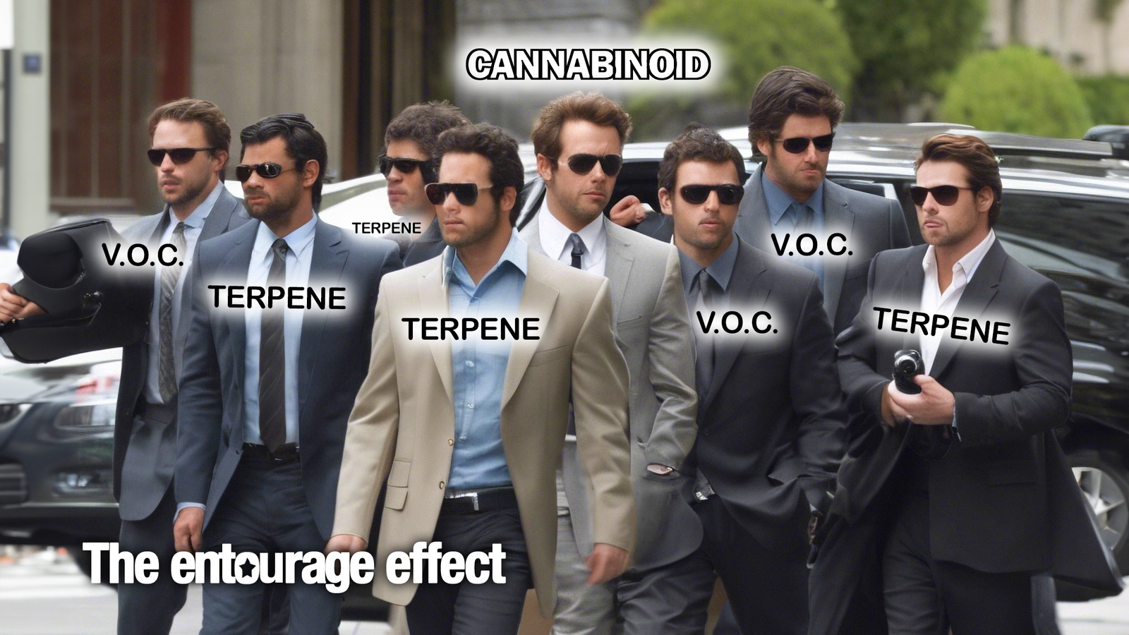 The Entourage Effect: Maximizing CBD's Benefits with Full-Spectrum Products