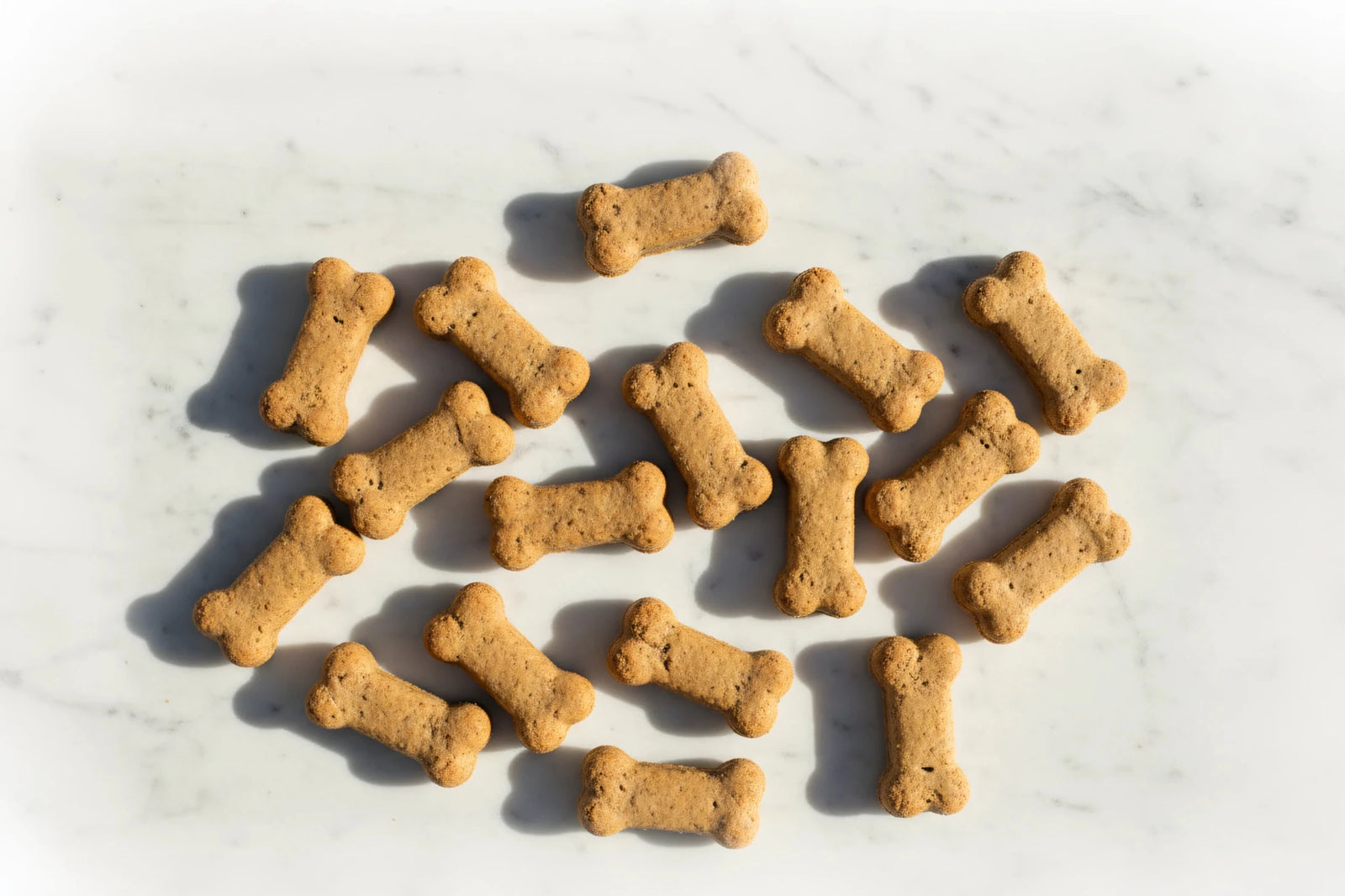 VetsGrade | Homemade Solventless CBD Peanut Butter Dog Cookies