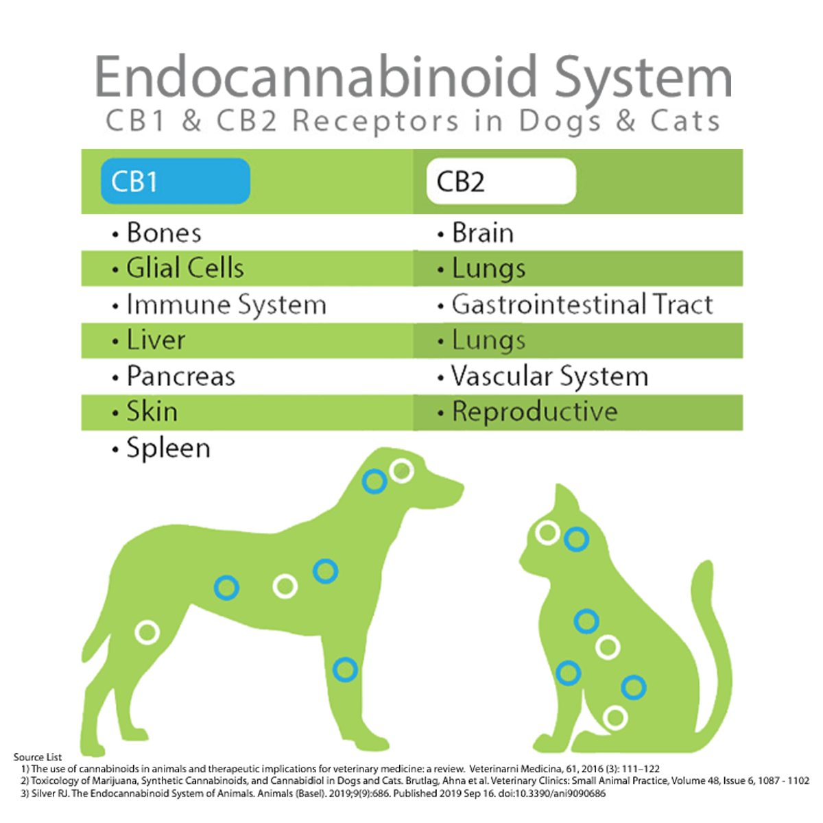 Diagram of the endocannabinoid system with CB1 and CB2 receptors in dogs and cats, showing affected organs.