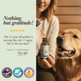 Woman administering VetsGrade Relief Plus solventless pet CBD tincture dropper to happy senior Golden Retriever with five star Google verified buyer review from Karen L stating my 12 year old golden is moving like she is 5 again this is the real deal with ethically sourced made in USA DVM CVT recommended and solventless fresh pressed extract trust badges.
