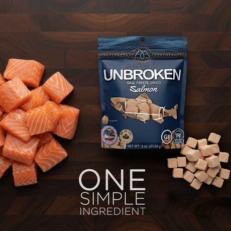 VetsGrade Unbroken raw freeze-dried salmon side-by-side with raw salmon pieces and freeze-dried .