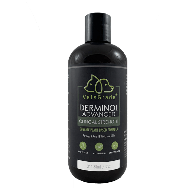 VetsGrade® | Derminol Advanced | The first and ONLY Solventless Shampoo on the market.